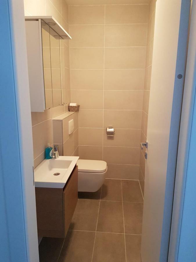 Apartment Aria Exclusive ペトルチャネ エクステリア 写真